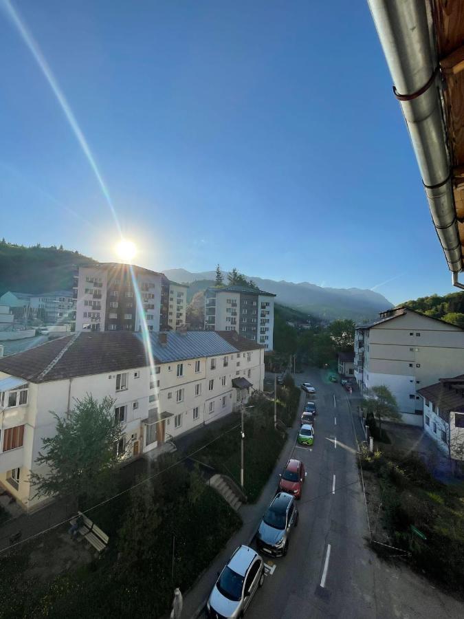 Delis Apartment Sinaia Buitenkant foto